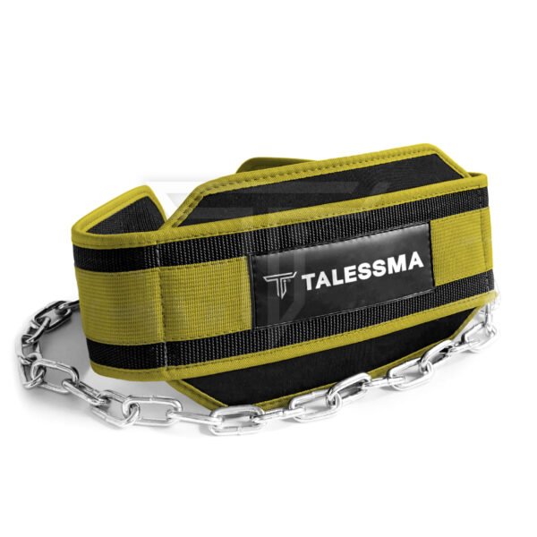 Personalized Dip Belt for Weighted Pull-Ups, Dips, & Bodyweight Training